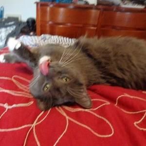 Meet your Posher, Terri